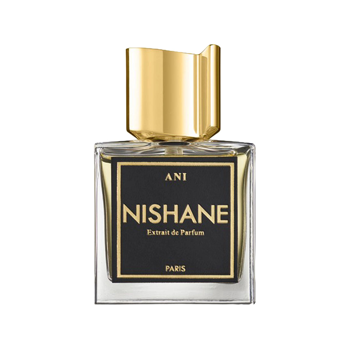 NISHANE ANI
