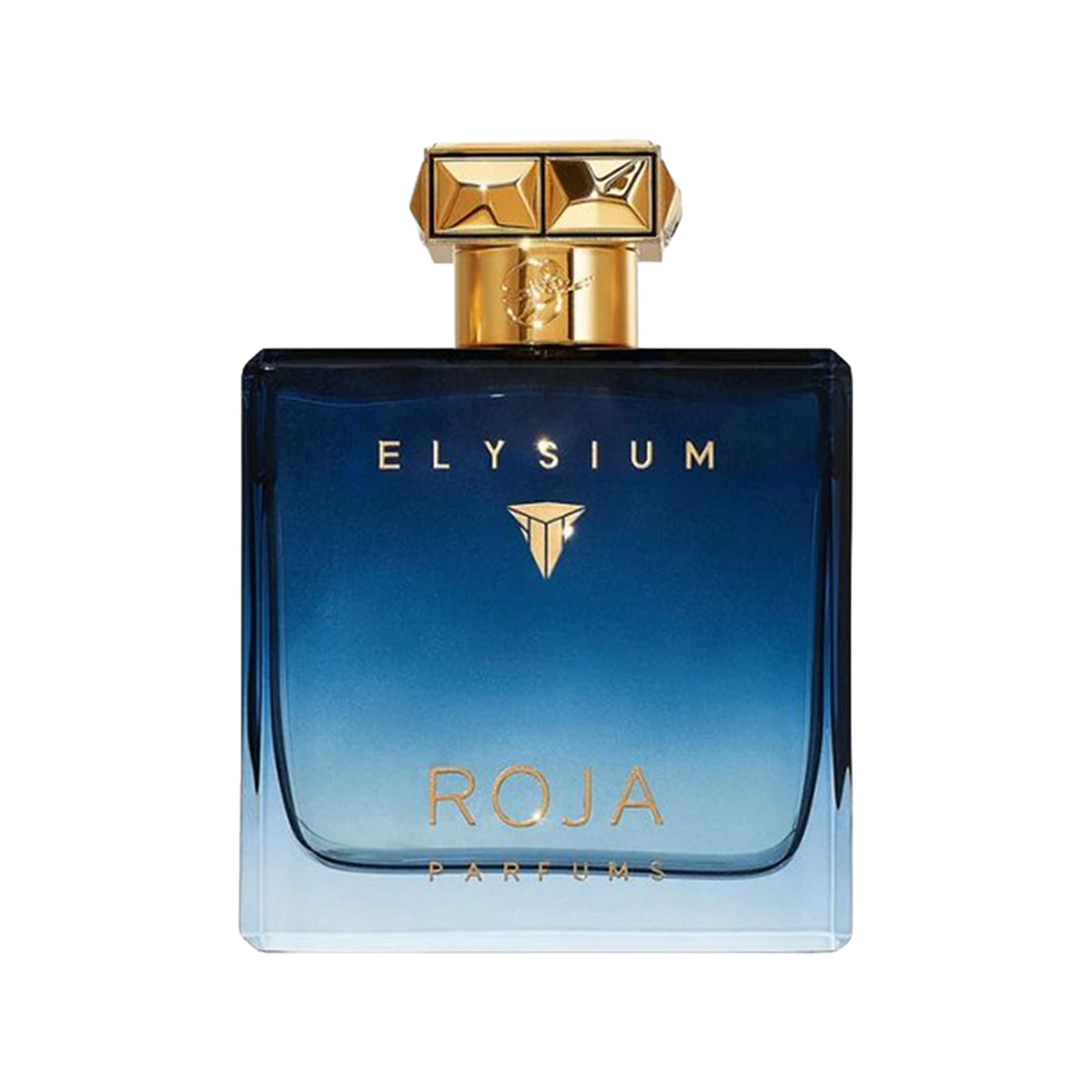 ROJA PARFUMS ELYSIUM POUR HOMME EDP 100 ML